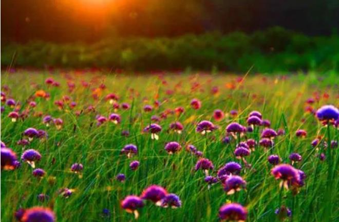 1612965992843078.jpg 9.jpg