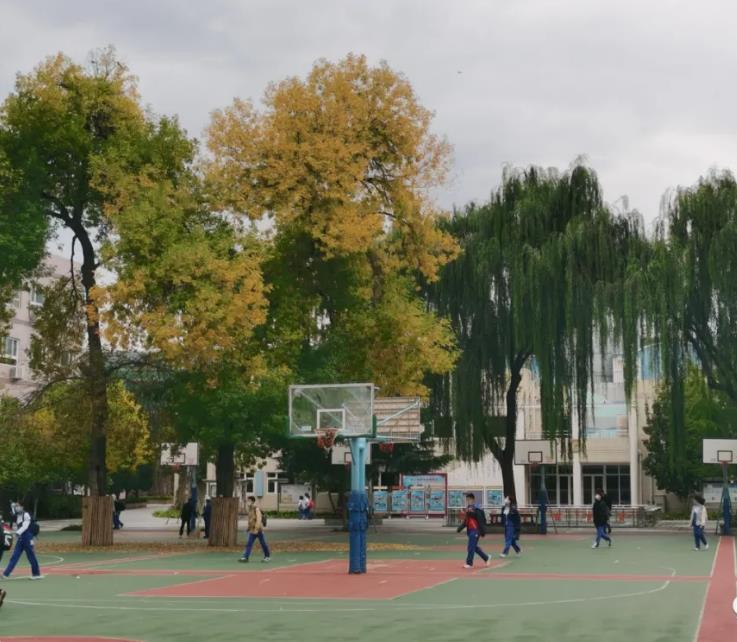 1636273410725982.jpg 360截图20211107162219913.jpg